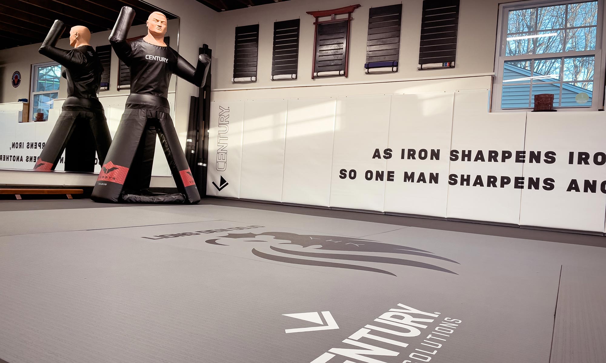 wall pads and mats in a gym