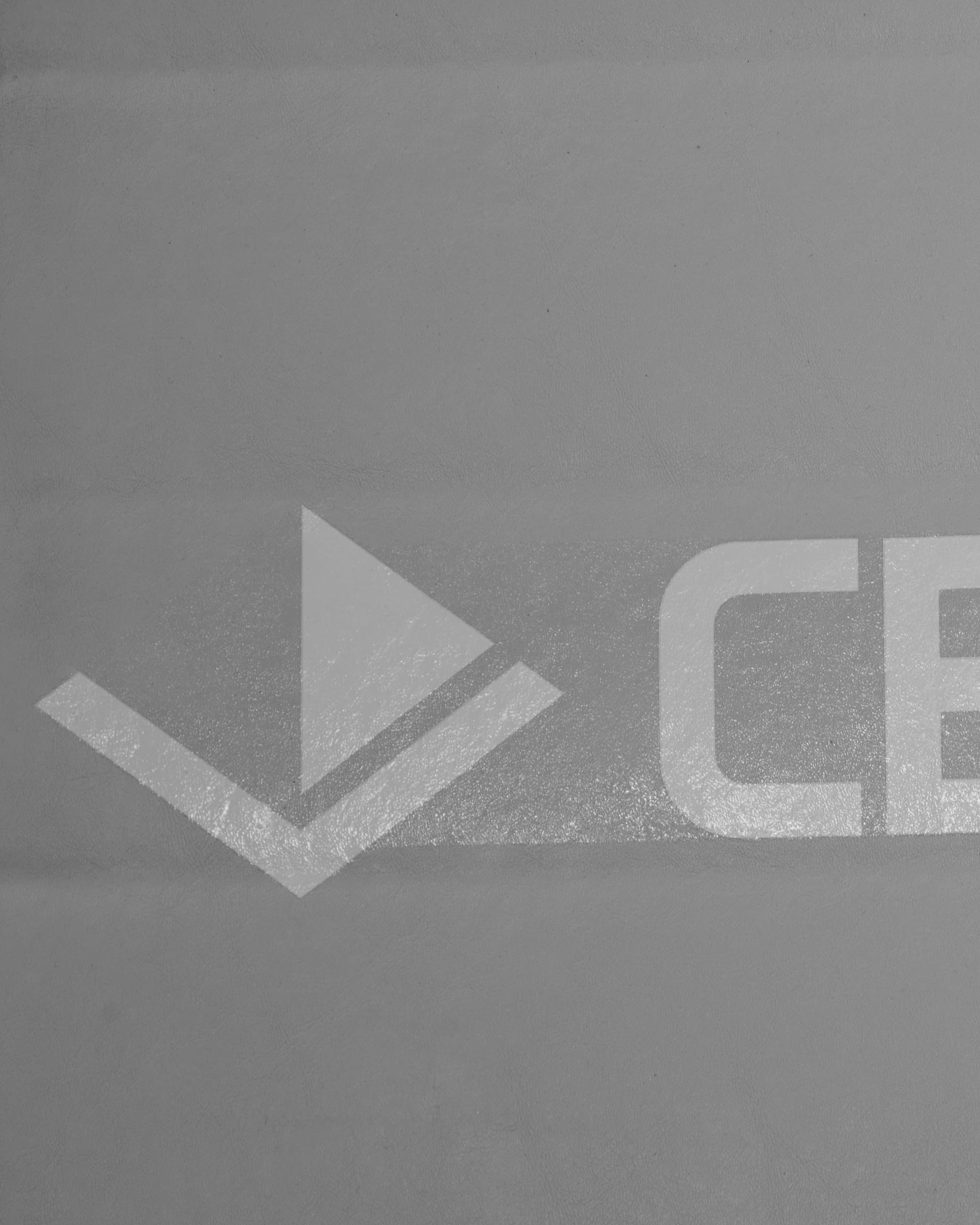 Home Rollout Mat - 5' x 10' x 1.25"