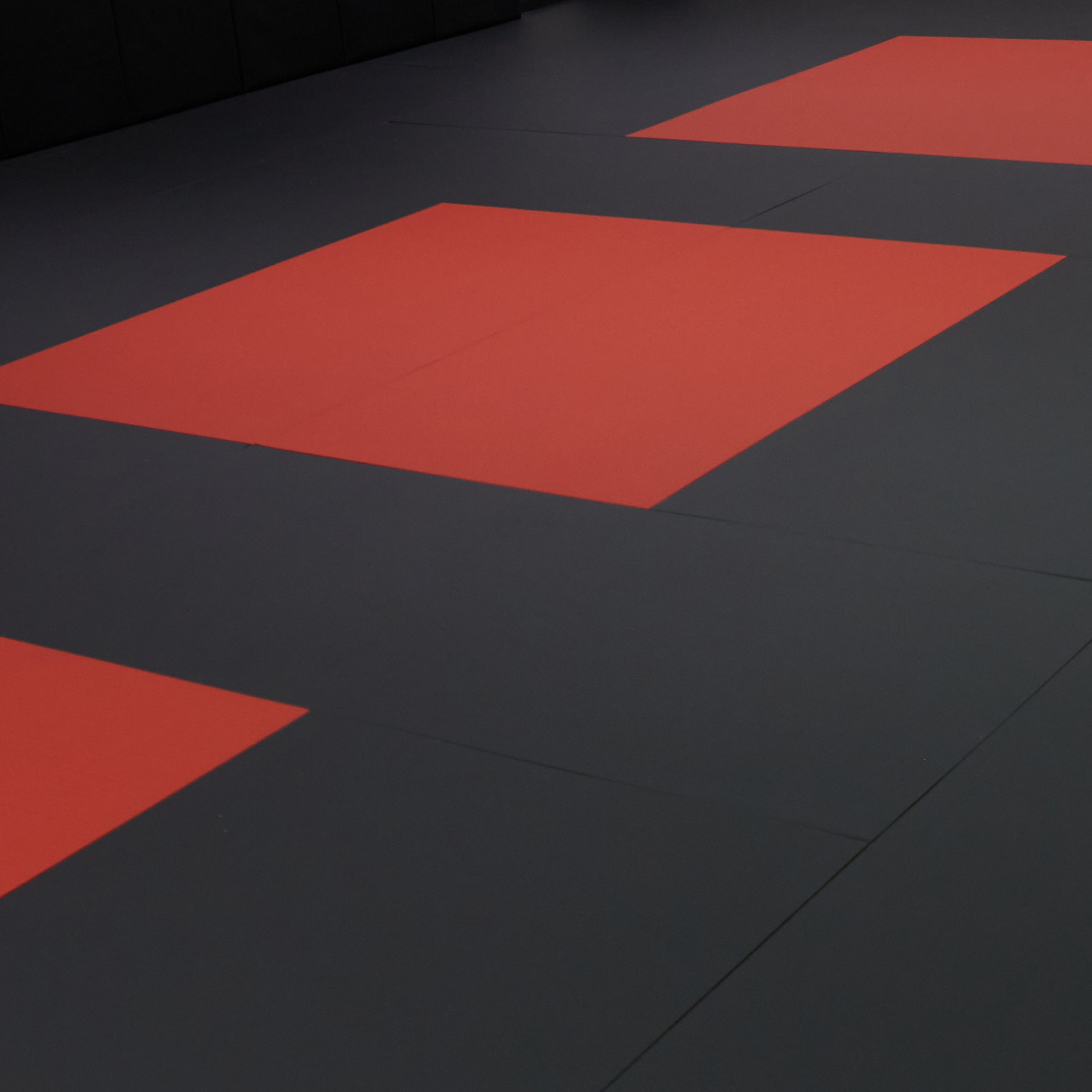tile mats for professional gym or martial arts flooring